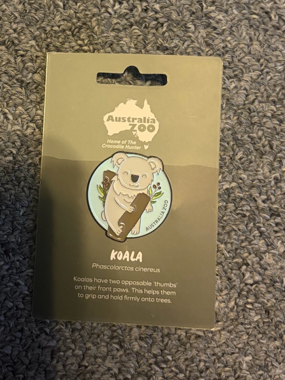New Australia zoo koala lapel pin